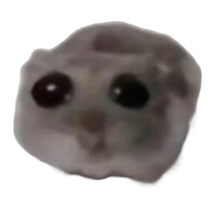 Test Image